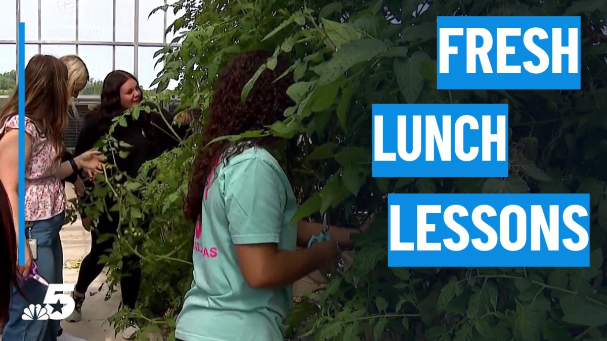 School cafeterias serve up fresh lessons with healthier lunch options