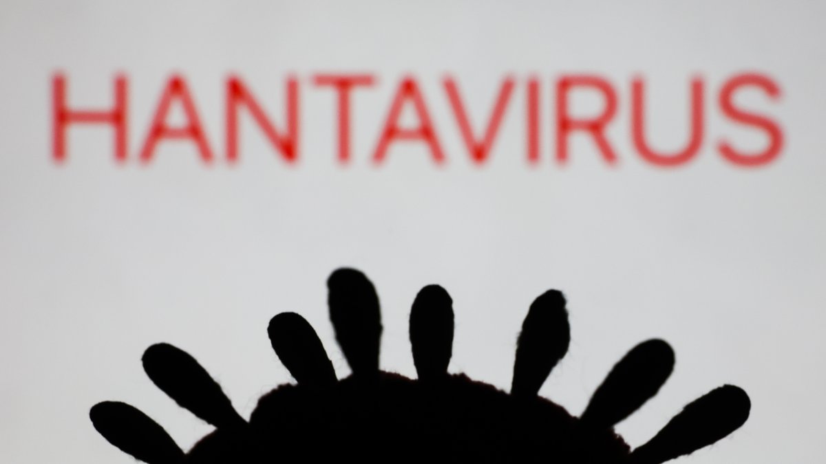 2 Hantavirus cruise passengers are Texas residents, health department confirms