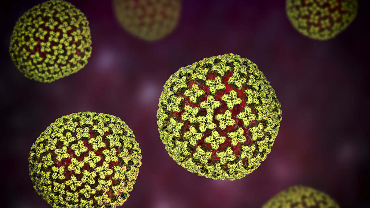 What to know about rare person-to-person hantavirus transmission – NBC ...