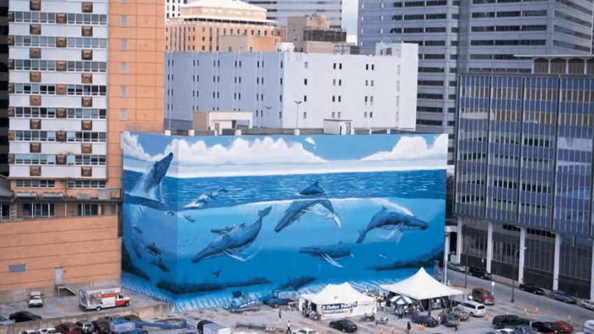 Wyland sends cease and desist over Dallas whale mural – NBC 5