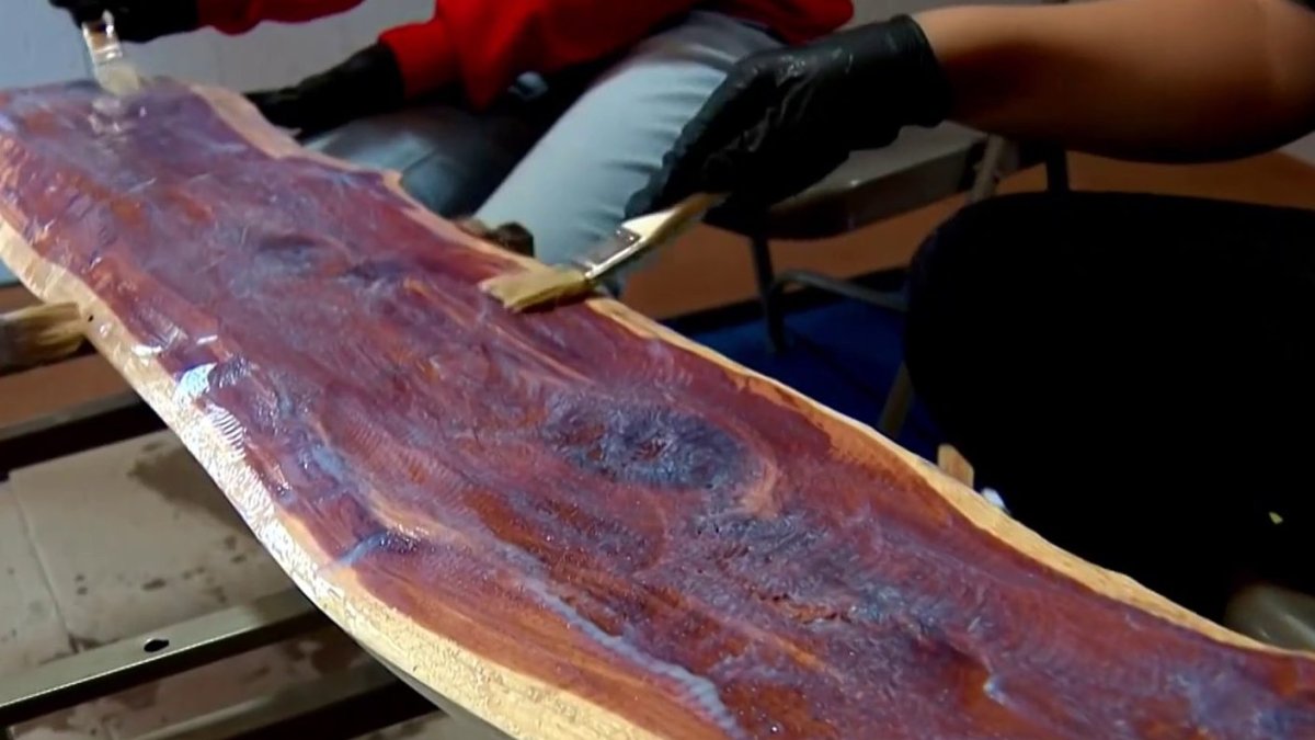 Students learn about science of trees and the art of woodworking
