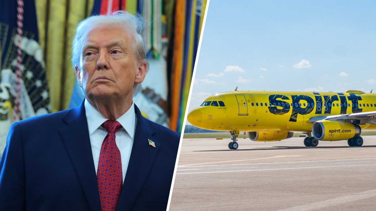 Trump likes the idea of the government owning some U.S. companies but took a pass on Spirit Airlines