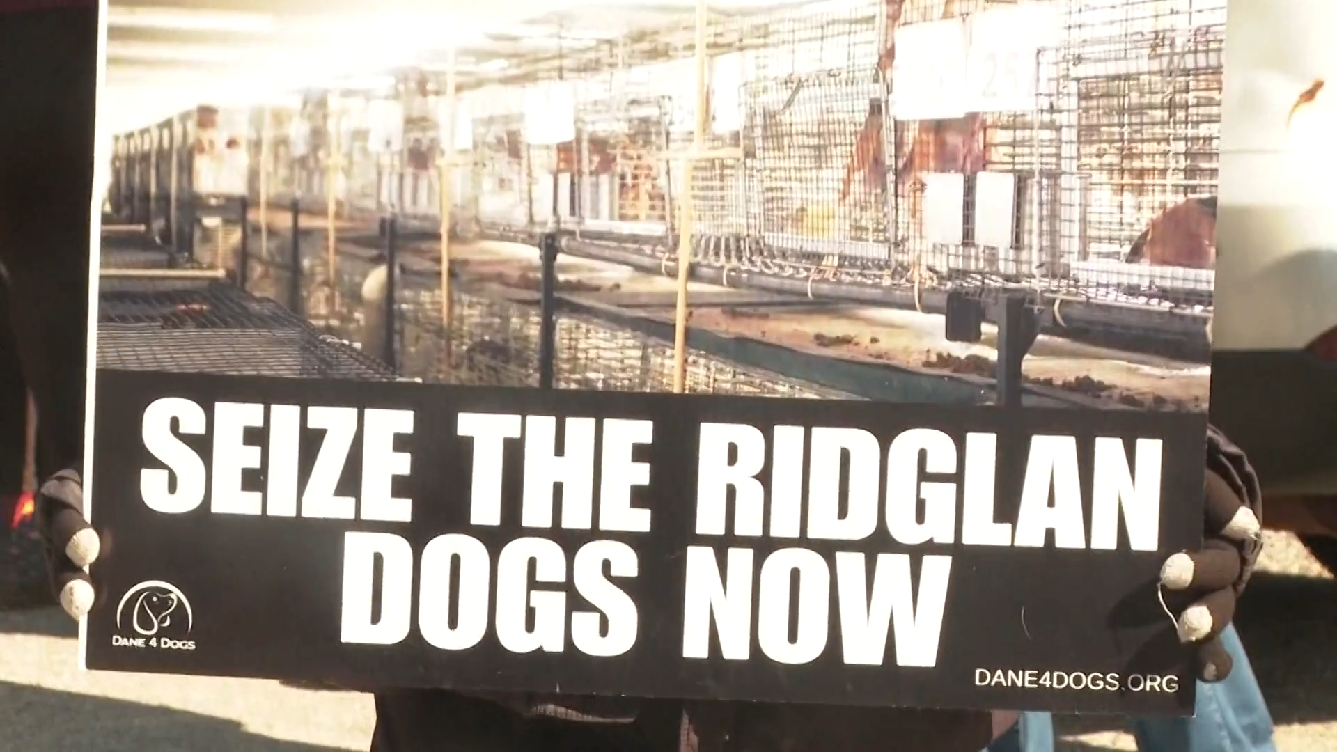 Animal group bought 1,500 beagles from Wisconsin facility targeted by protesters