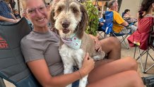 Dog at Summer Classical Music Series 2026