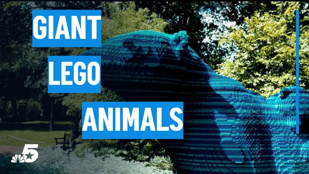 Why giant Lego animals are popping up across a botanical garden