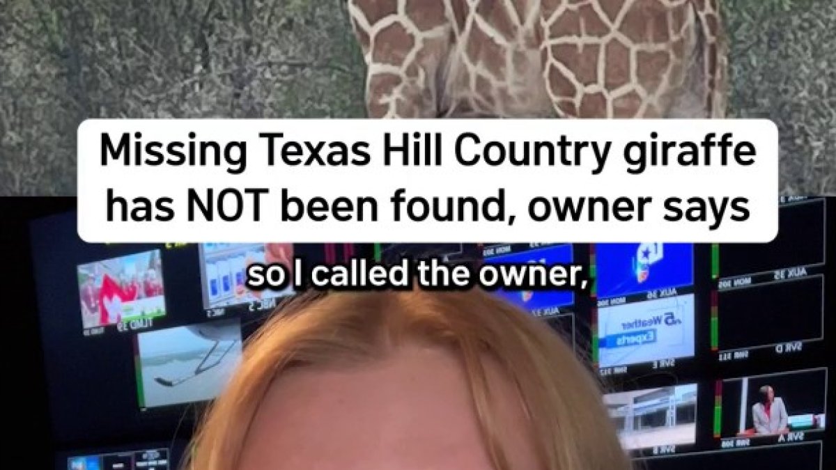 Missing Texas Hill Country giraffe has NOT been found