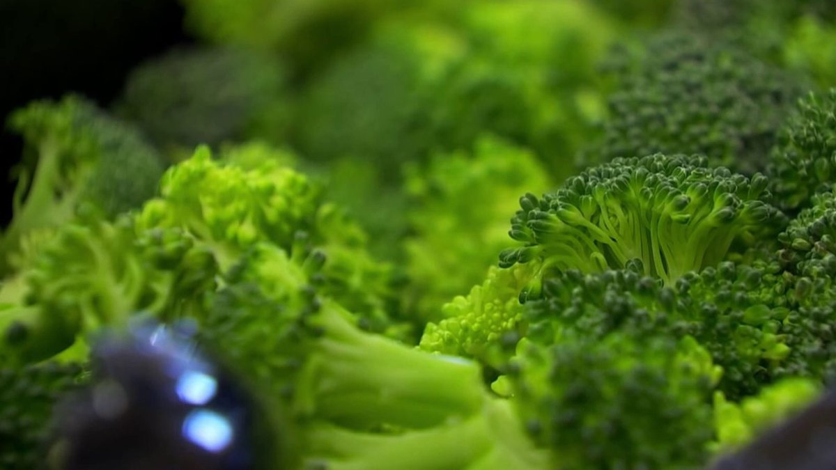 Hospital helps school district serve healthier lunches, and unique lessons