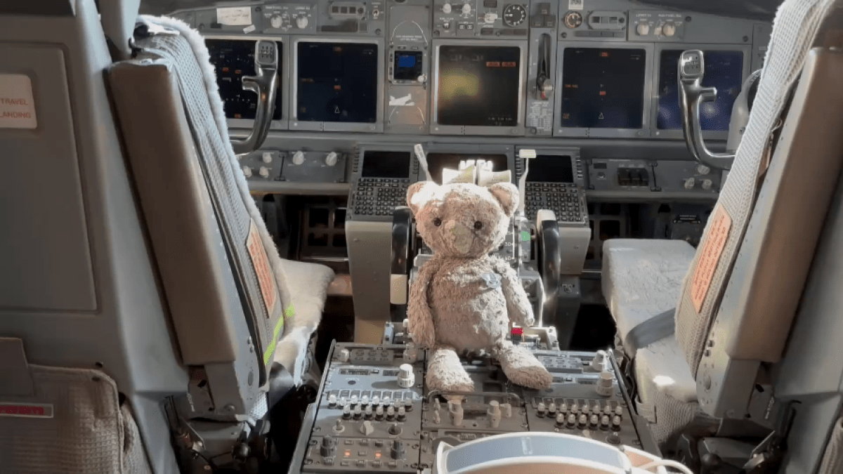 American Airlines reunites Fort Worth boy with beloved teddy bear