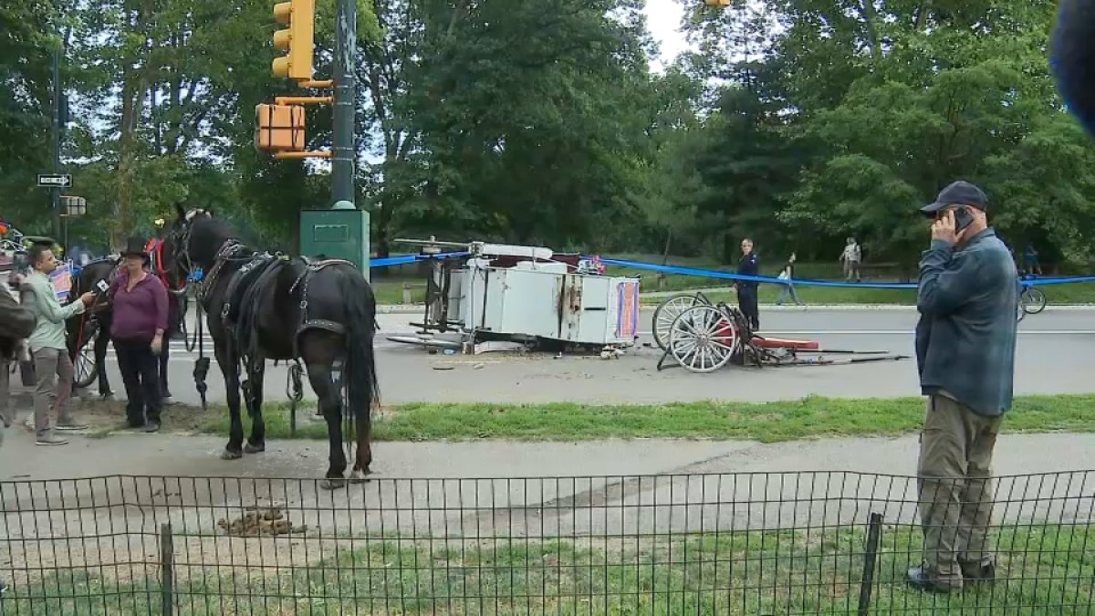 Passenger, 18, dies after runaway horse carriage crash at Central Park in New York