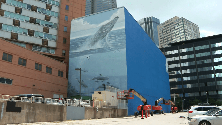 Artist sues for $25 million over destruction of Dallas whale mural