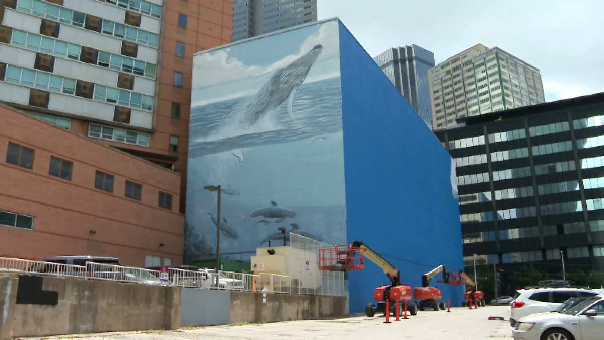 Wyland sues FIFA over Dallas whale mural in federal court – NBC 5 ...