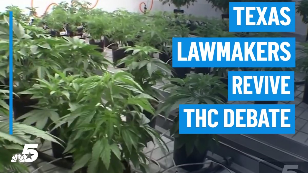 Texas Senate revives debate over statewide THC ban