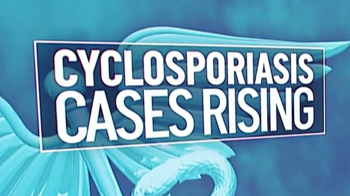 Cyclospora cases rise in Texas as officials investigate multistate outbreak