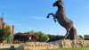 Dallas has one of 25 U.S. theaters showing The Odyssey in IMAX 70mm film