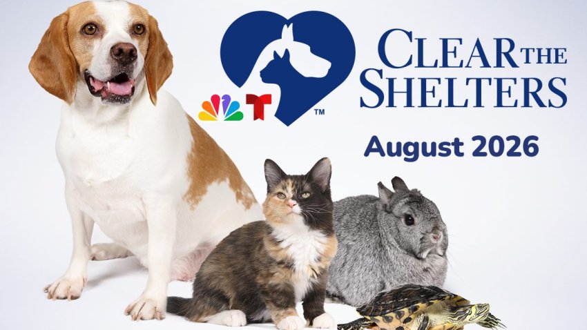 Clear The Shelters 2026 campaign