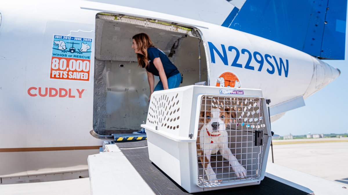 Donate emergency supplies for pets and families affected by the Central Texas Fl...