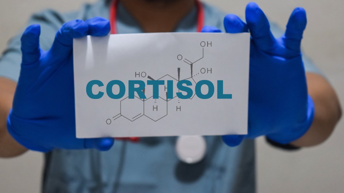 High cortisol worries. A doctor says do this first instead of hacks