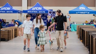 The Humane Society of North Texas' Mega Adoption Event returns for its 11th edition.