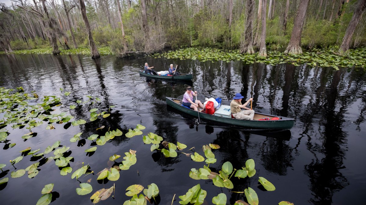 Georgia's Okefenokee swamp named a UNESCO World Heritage site