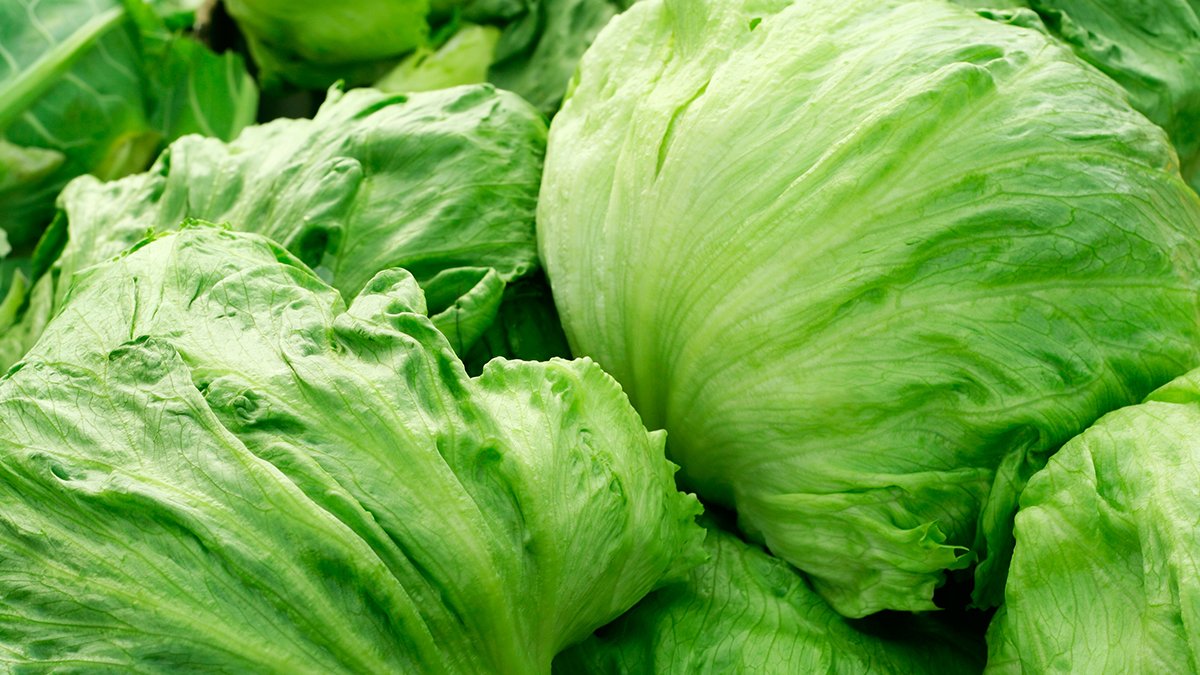 Taylor Farms recalls iceberg lettuce amid cyclosporiasis outbreak