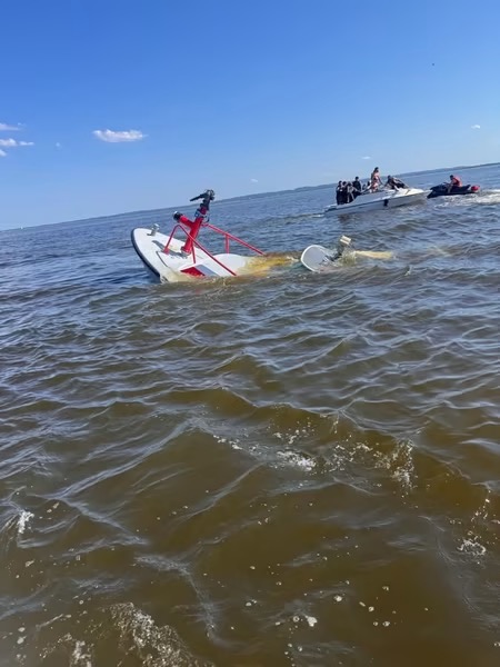 whale carteret