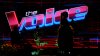 ‘The Voice' gets ‘Celebrity' edition with new coaches, host and format
