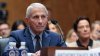 Senators vote to hold Anthony Fauci in contempt of Congress for pleading the Fifth