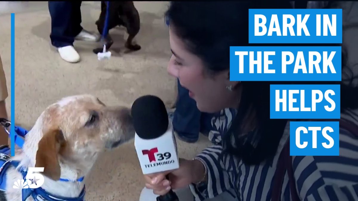 Bark in the Park helps dogs find their “furever home”