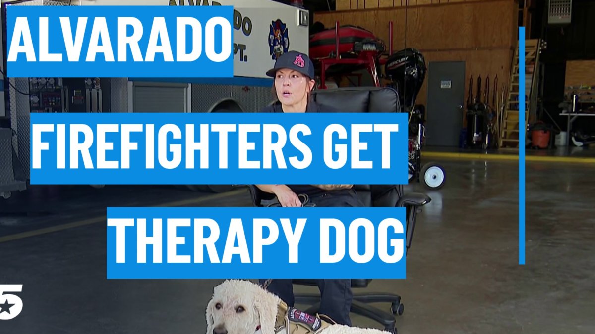 Alavarado Fire Department gets therapy dog for first responder mental health