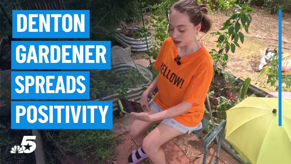 Denton gardener turns backyard oasis into a social media bright spot