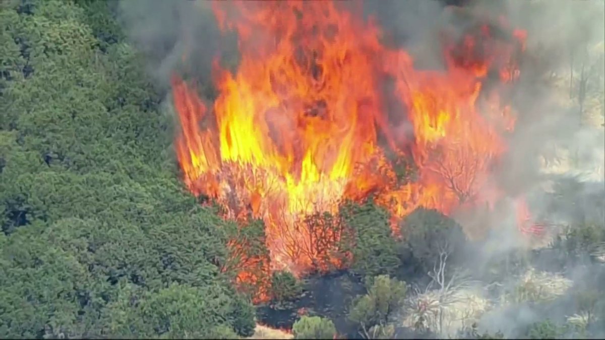 Crews work to get brush fire under control in Palo Pinto County