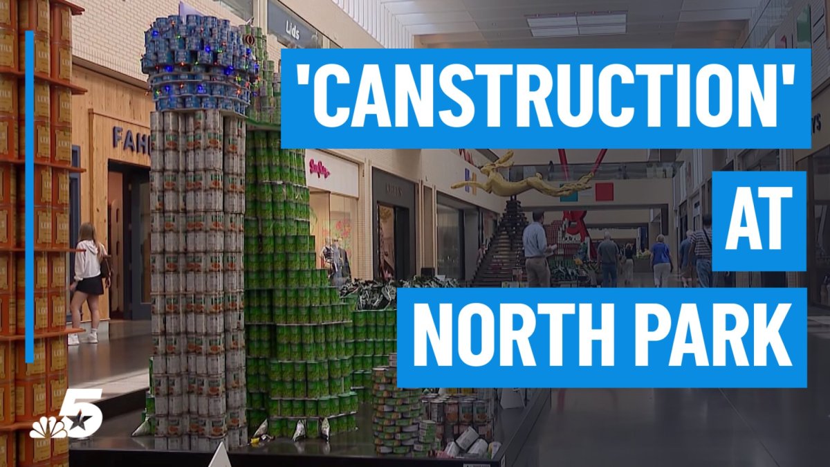 Canstruction Dallas turns 120,000 cans into art to fight hunger