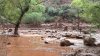 North Texas man among group missing following Grand Canyon flash flood