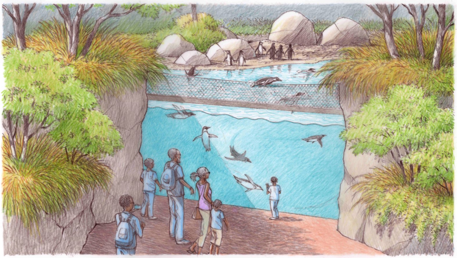 Dallas Zoo Penguins Making Temporary Move To Waco NBC 5 Dallas Fort Worth dallas-zoo-penguins-making-temporary-move-to-waco-nbc-5-dallas-fort-worth