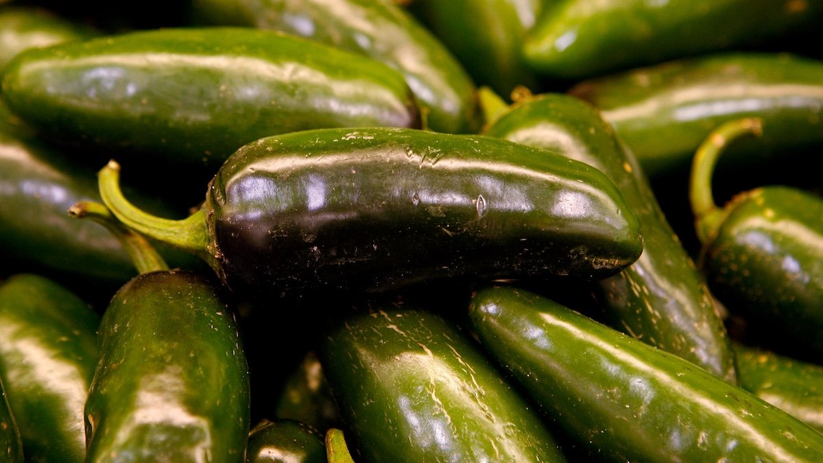 Jalapeño products sold at Walmart, Target, Whole Foods recalled over salmonella ...