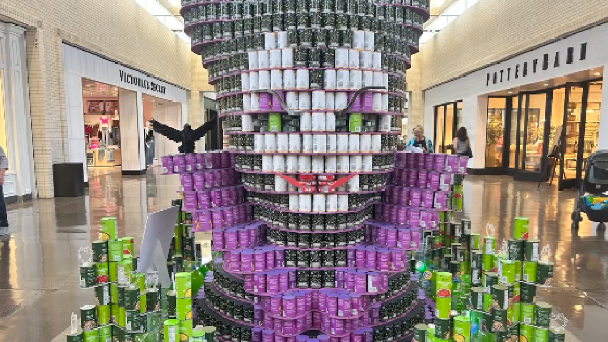 ‘Hunger really is the villain': Canstruction Dallas returns to NorthPark