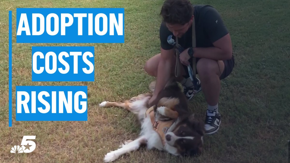 Animal welfare groups report more people are asking for help caring for pets