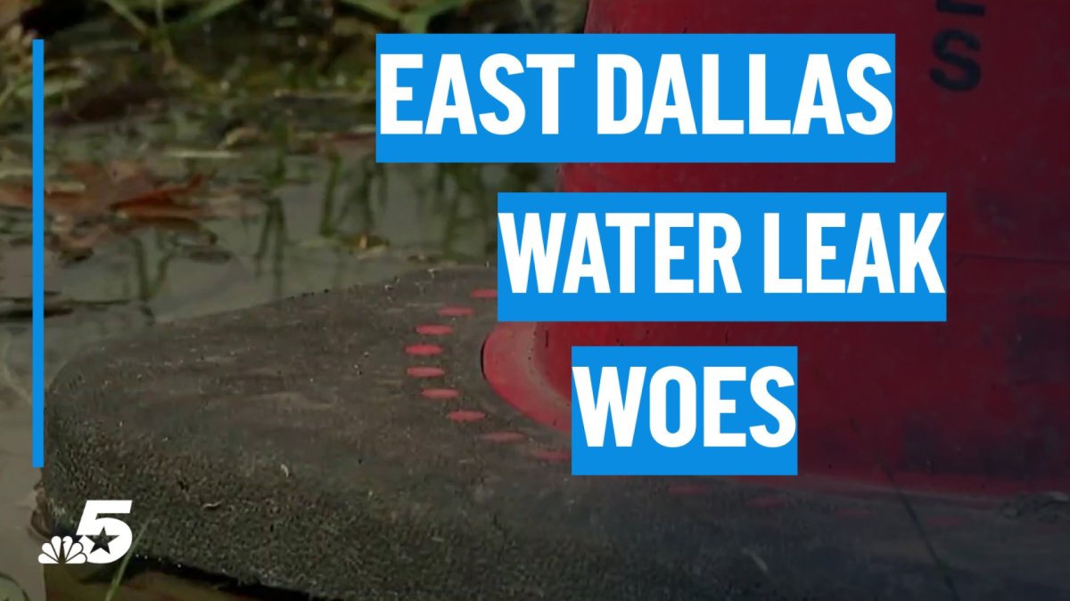 East Dallas water line leaks for more than a month as neighbors await repairs