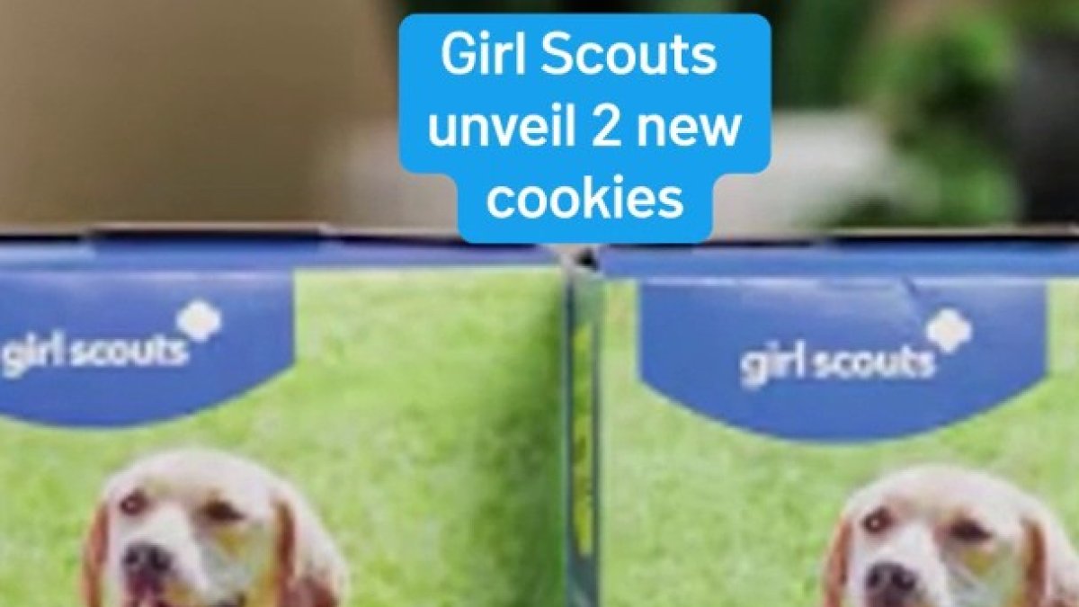 Girl Scouts debut cookies for dogs, new allergy-friendly treat