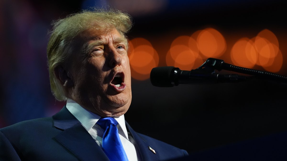 Trump, hoping to salvage midterms, makes dubious pledge to give every U.S. adult $5,000 if GOP wins