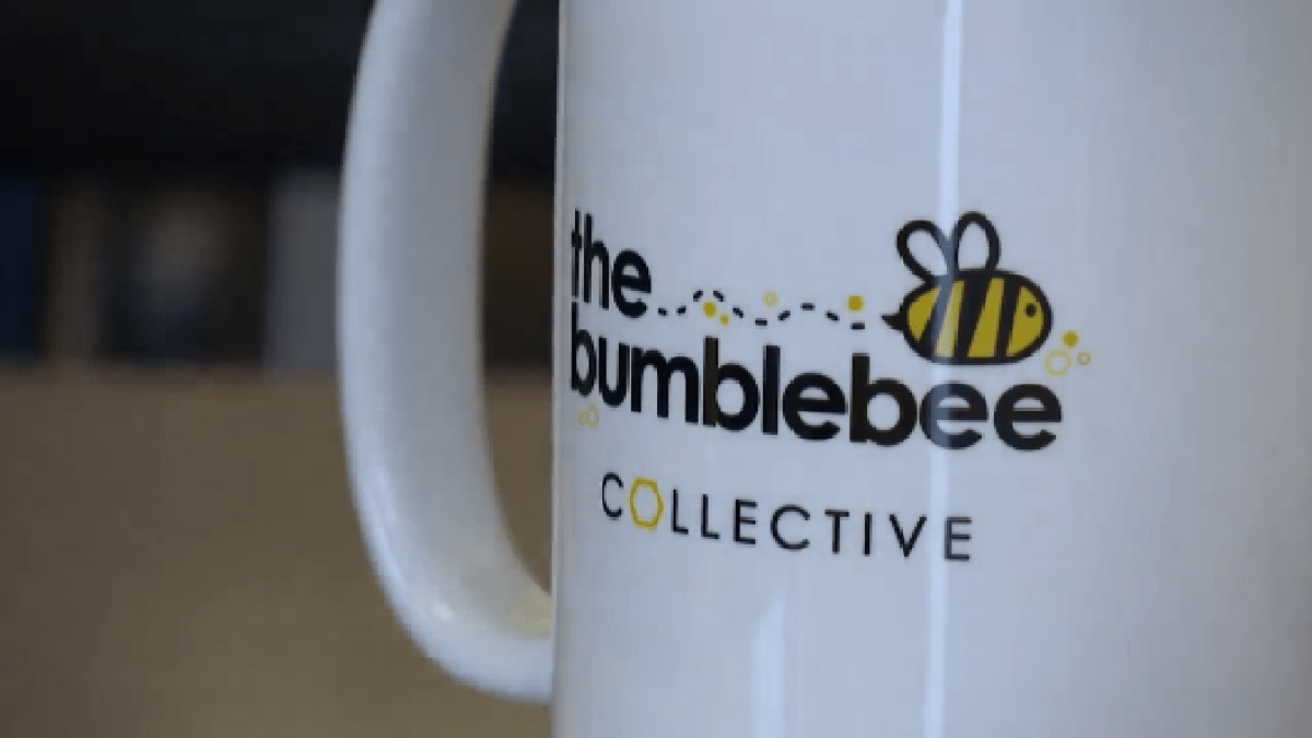 Bumblebee Collective helps Carrollton special education students prepare for l ife after school