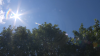 Heat hurting your mental and physical health: local psychiatrist says