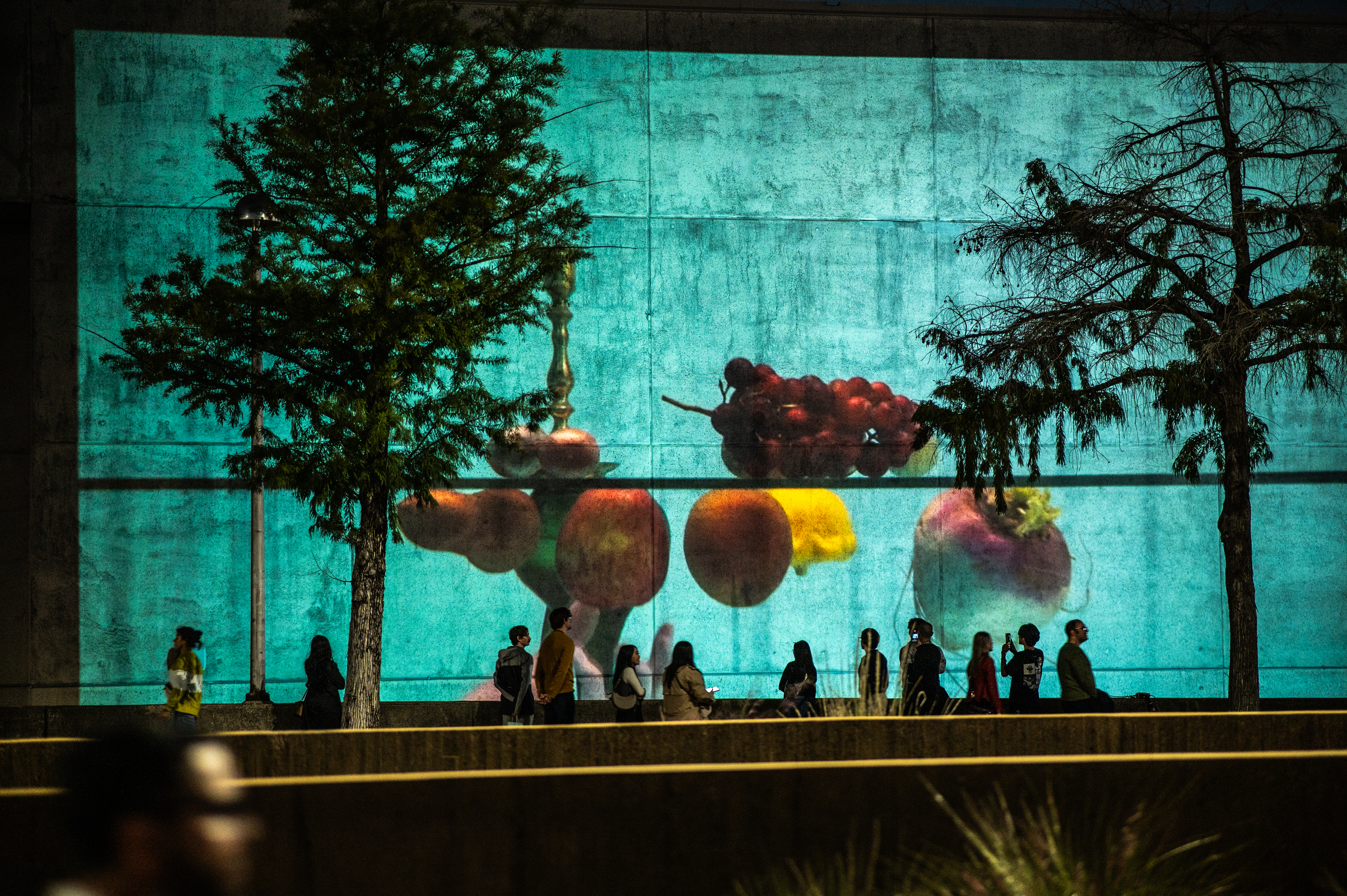 AURORA Biennial 2024 Alejandro-Almanza-Pereda_A-glass-of-fruit