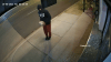 Surveillance video captures burglary at Oak Cliff restaurant as business owners raise concerns