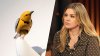 Brooklyn store in Kelly Clarkson feud says Molly the mechanical bird is now on sale for $15 million