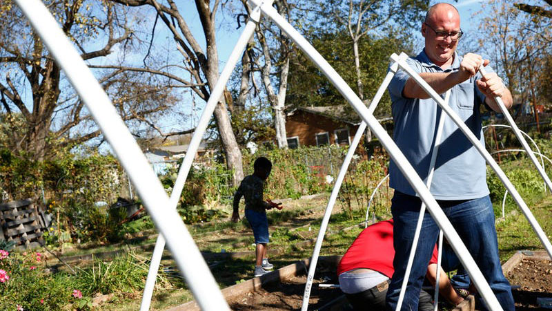Why Our Wonky Weather is Perfect for Growing Veggies