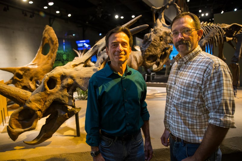 Dig Dinosaurs? The New Paleo Lab at the Perot Museum Lets You Watch Science as it Happens