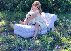 Bluebonnets in Bloom 2018 - Gallery III