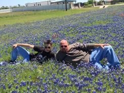 Bluebonnets in Bloom 2018 - Gallery II