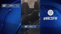 Get Connected: March 20, 2019